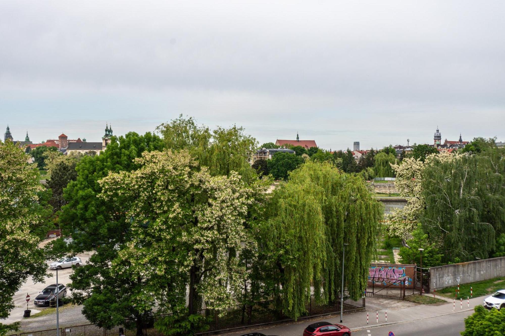 3D Ludwinowska 11 Apartment Krakow Ngoại thất bức ảnh